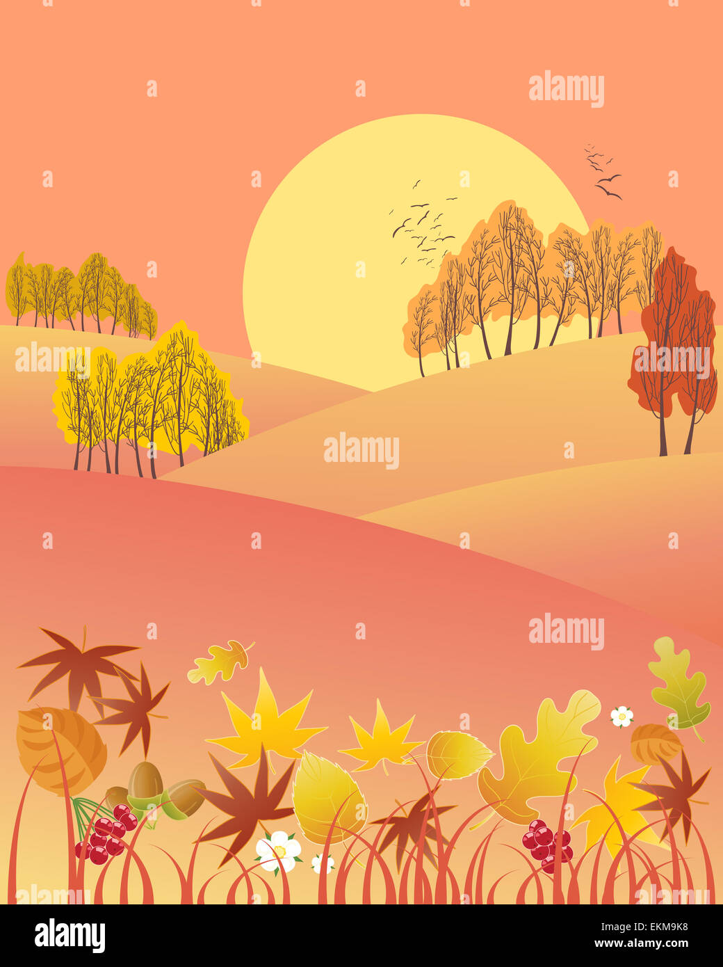 an illustration of an evening autumn fall landscape with colorful trees ...