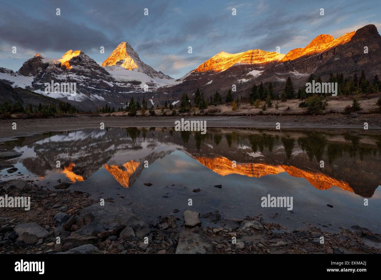 Assiniboine Peak At Sunset Canadian Rocky Mountains Mount Assiniboine assiniboine-peak-at-sunset-canadian-rocky-mountains-mount-assiniboine