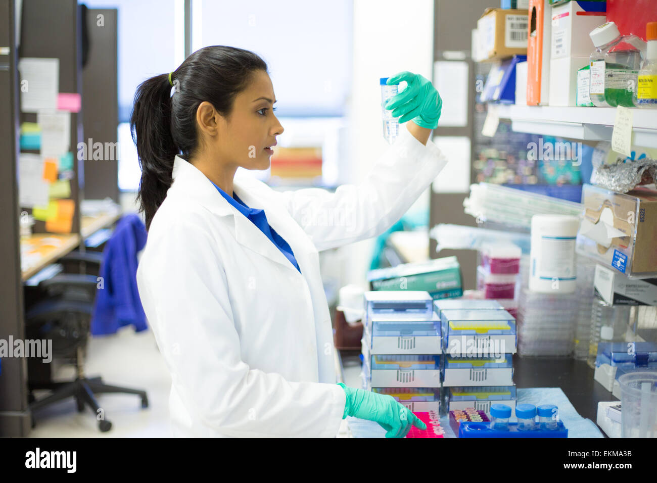 Closeup portrait, young scientist in white lab coat doing experiments in lab, academic sector