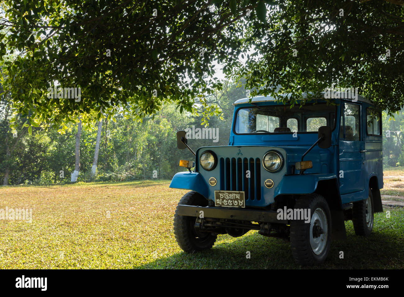 blue Mitsubishi jeep under a tree on a lawn Stock Photo