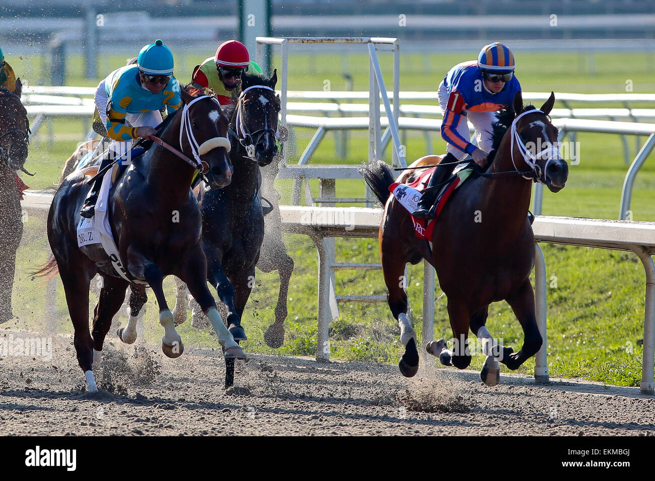 March 28, 2015 - New Orleans, Louisiana, U.S. - March 28, 2015:Stanford with Florent Geroux up in the Louisiana Derby Day at the New Orleans Fairgrounds. Steve Dalmado/ESW/CSM Stock Photo