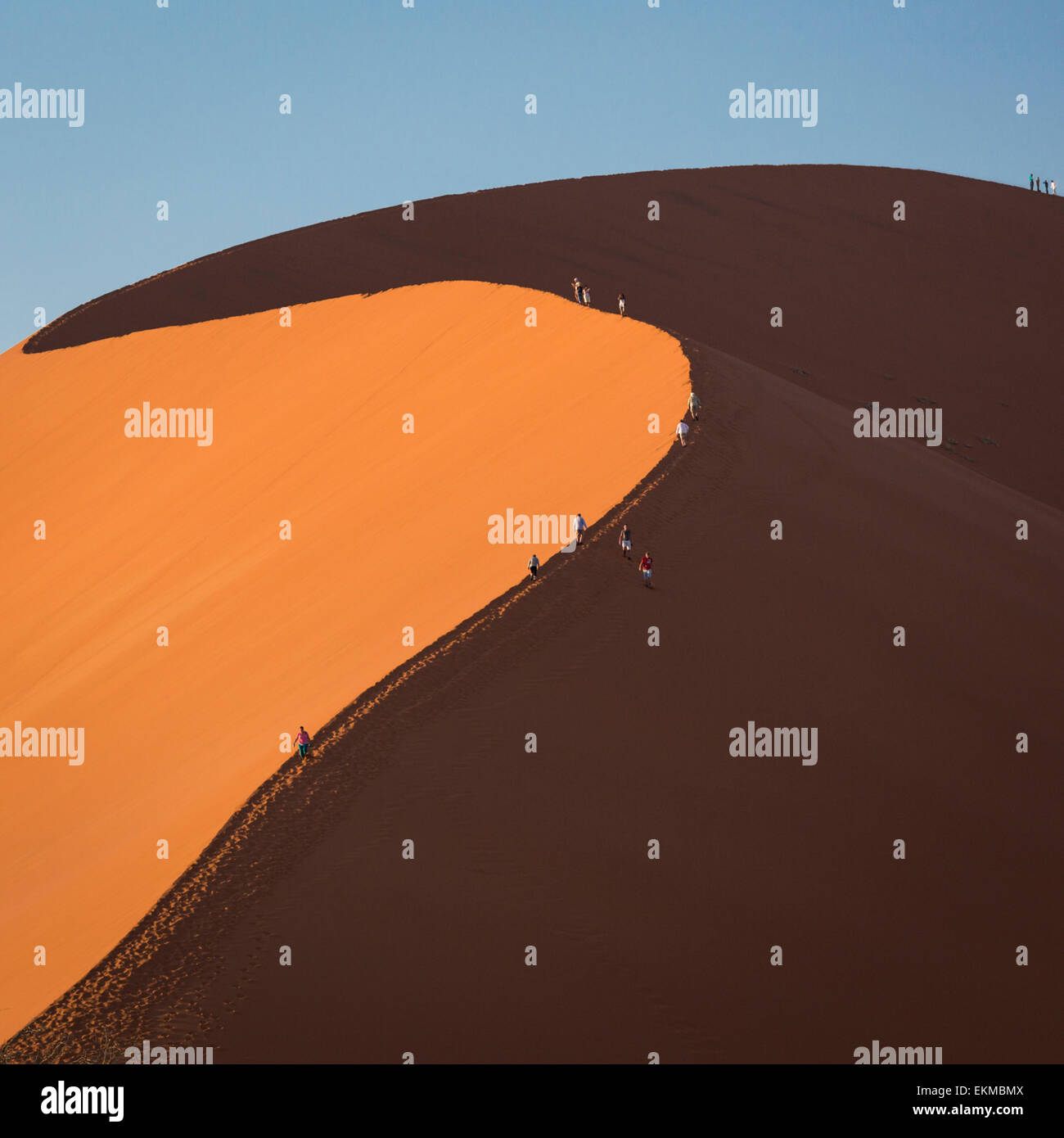 Visitors climbing sand dune 45 near Sossusvlei in NamibNaukluft