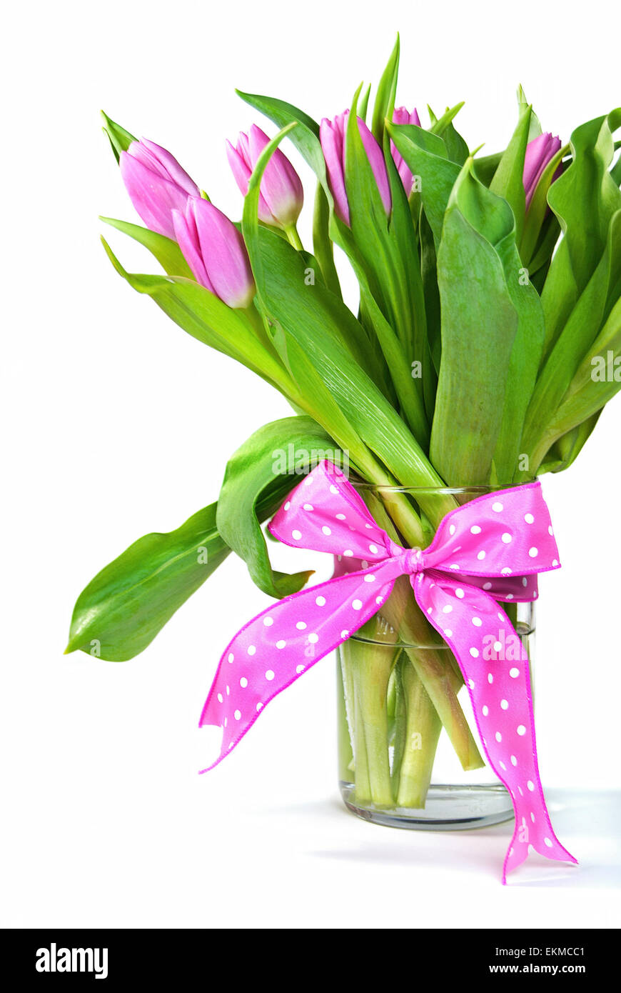 Pink tulip bouquet in glass vase with polka dot bow isolated on white. Stock Photo