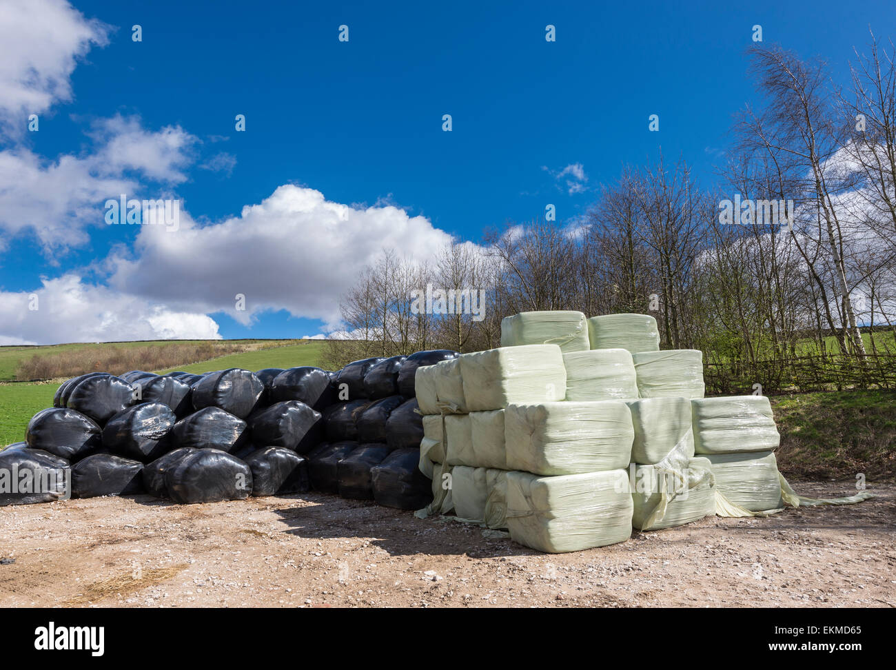 Bales of round and square hay or silage in spring sunshine beside a Peak District footpath. Stock Photo