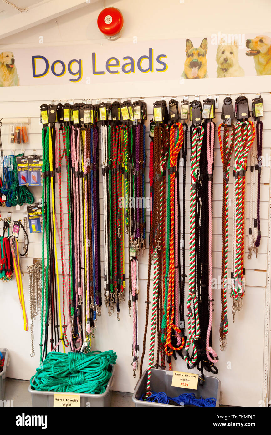 dog leads for sale