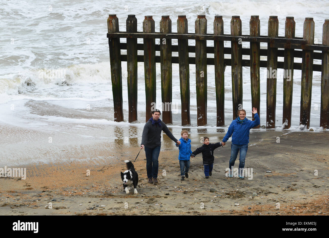 Family walking dog on Ventnor beach Isle of Wight Stock Photo Alamy