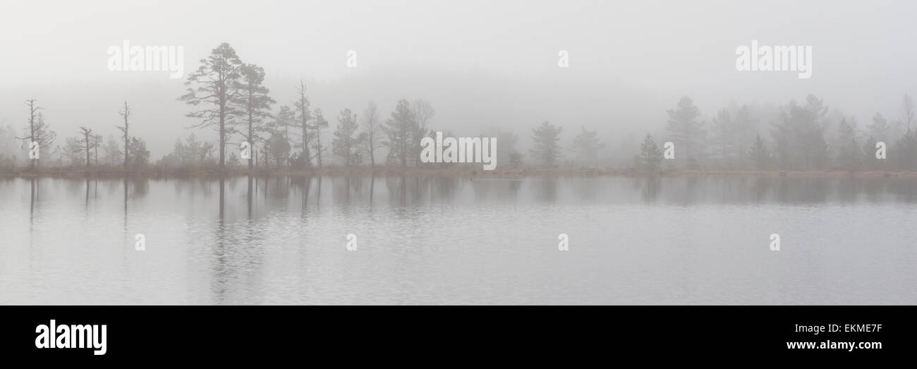 Panorama of Uath Lochans in heavy mist, Scotland Stock Photo