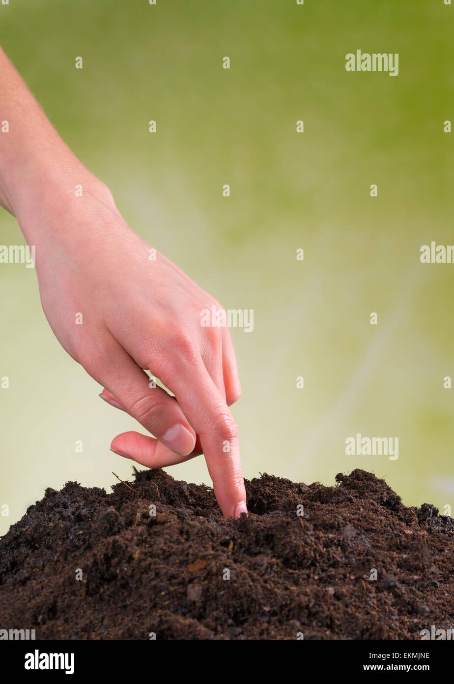Woman hand seeding seed into pile of soil Stock Photo