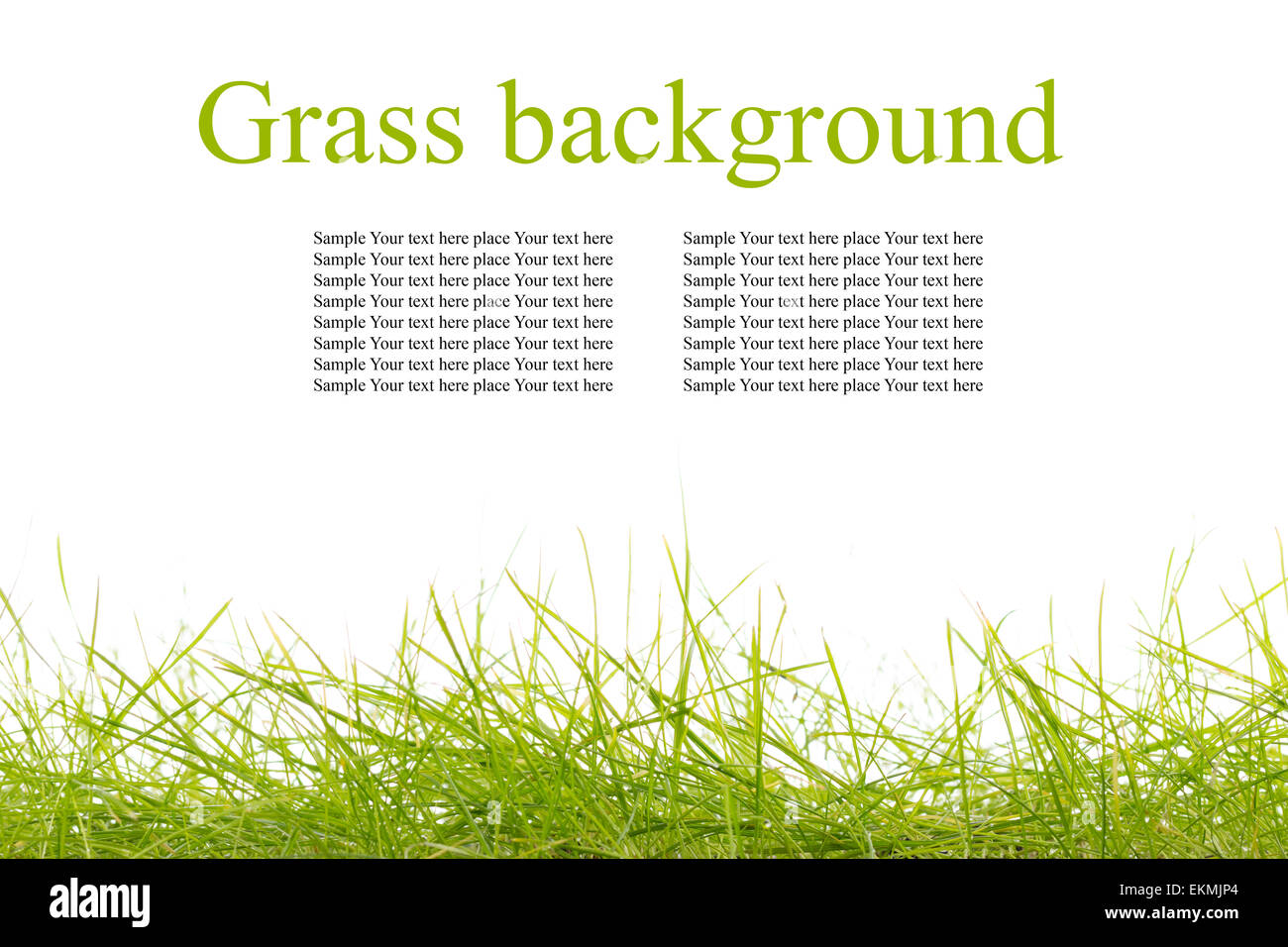 Young grass isolated on white background Stock Photo - Alamy