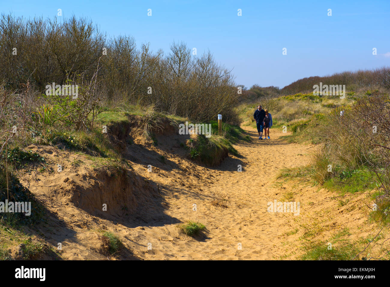 Couple walking down footpath to the beach through Berrow Dunes local nature reserve, Somerset Stock Photo