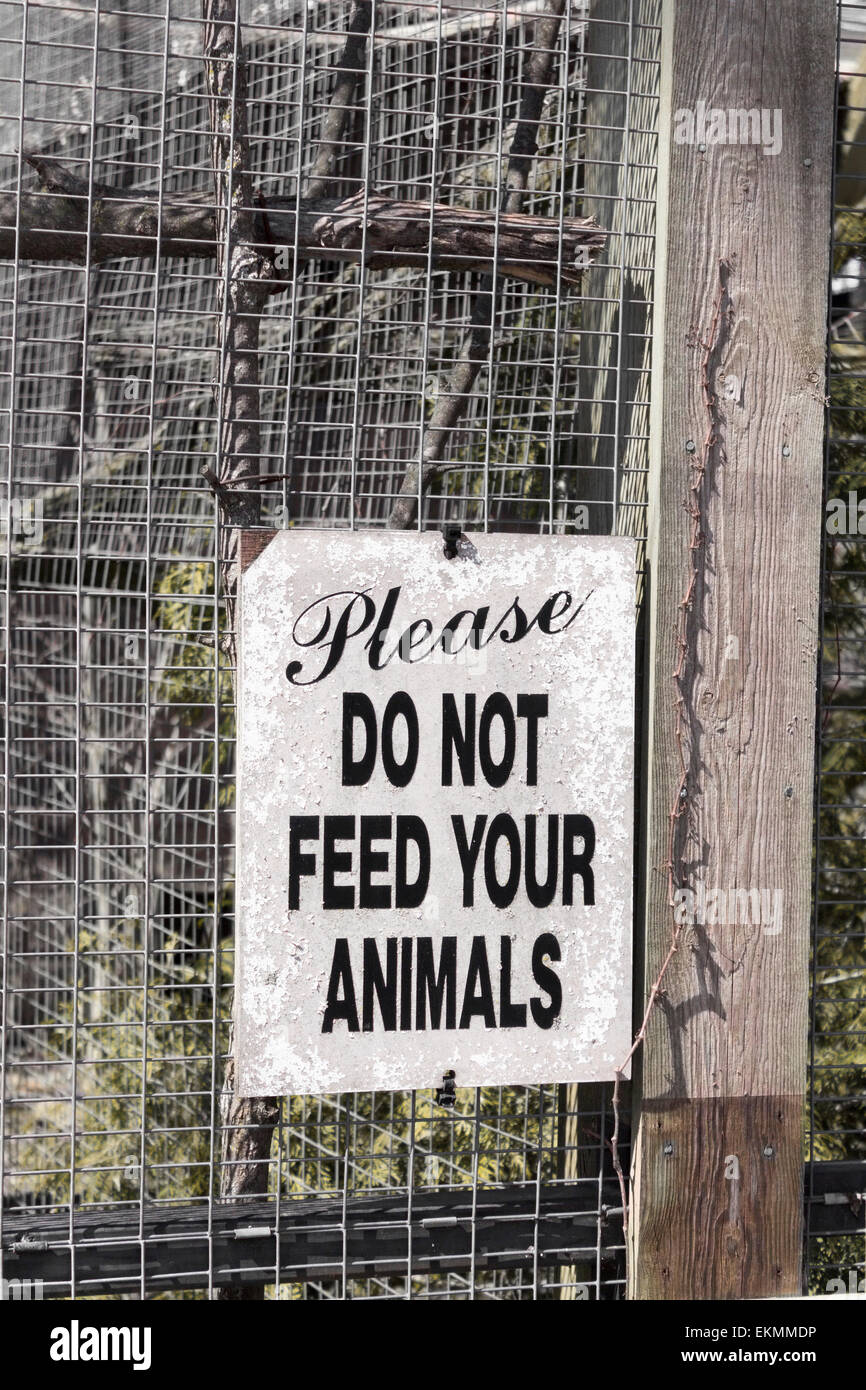 please-dont-feed-the-seagulls-or-pigeons-hi-res-stock-photography-and