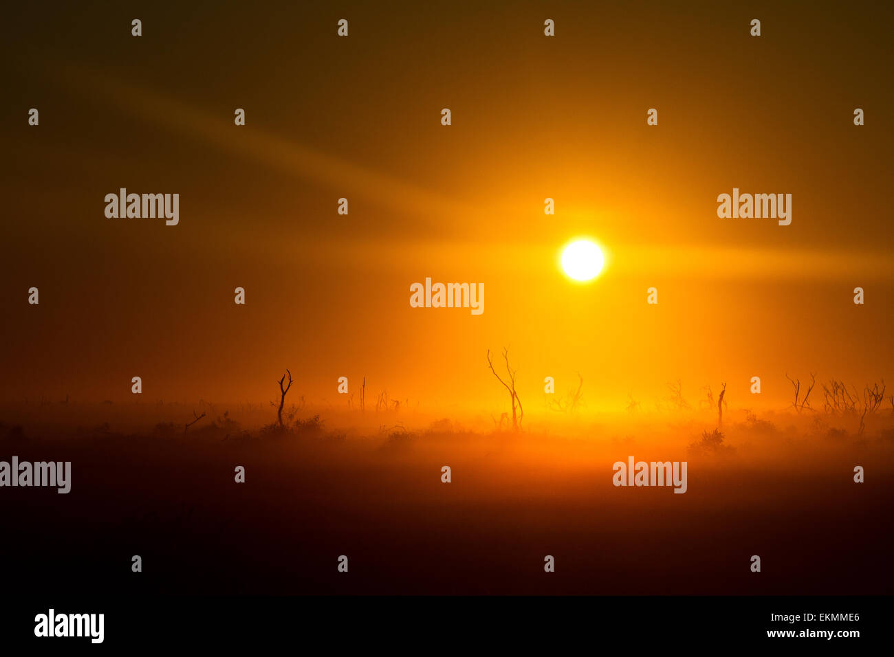 Apocalypse on a wake of a foggy and sunny morning in the Australian outback - Stock Image