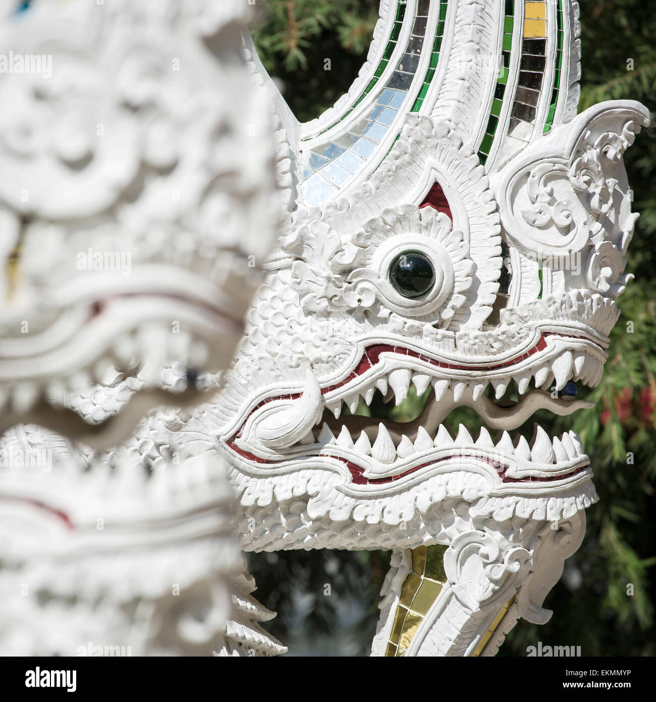 White Naga dragon statue in the buddhist temple in Thailand Stock Photo ...