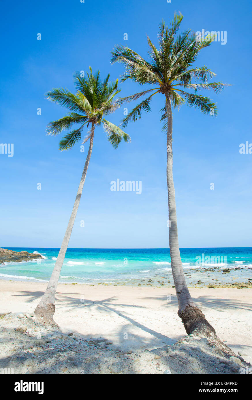 Beautiful beach tropical palm hi-res stock photography and images - Alamy