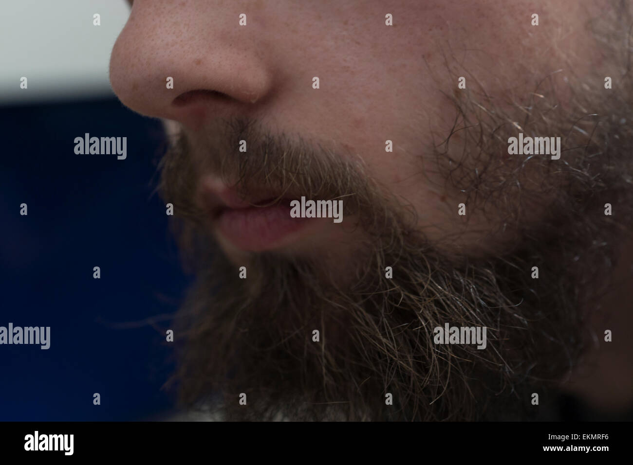 Growing Beard Hair Color Nose Lips Stock Photo 80977434 Alamy