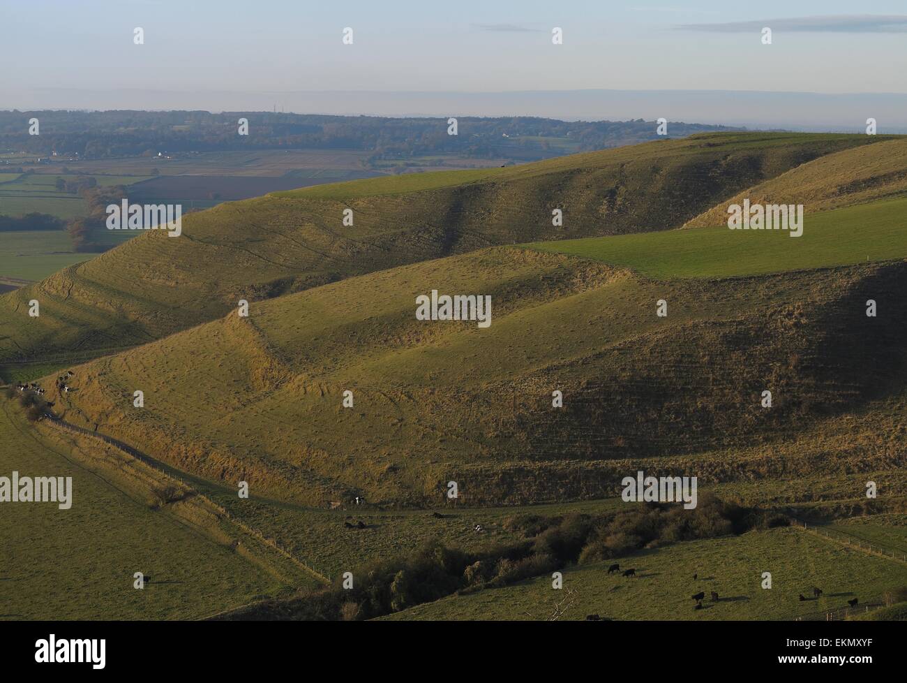 Beacon Hill North Wessex Downs Area of Outstanding Natural Beauty near Devizes Wiltshire England