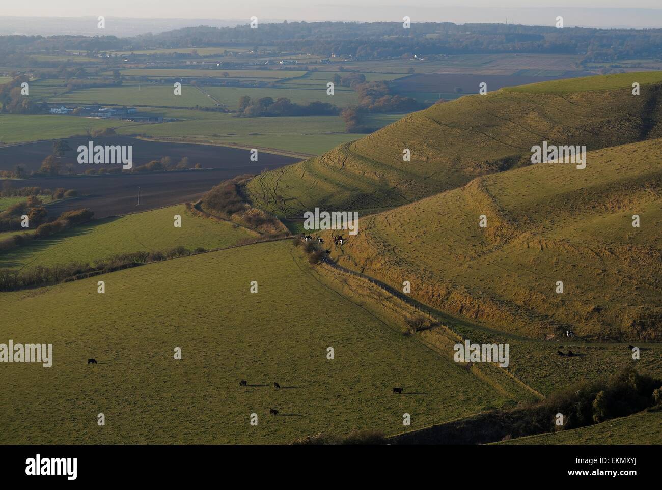 Beacon Hill North Wessex Downs Area of Outstanding Natural Beauty near Devizes Wiltshire England
