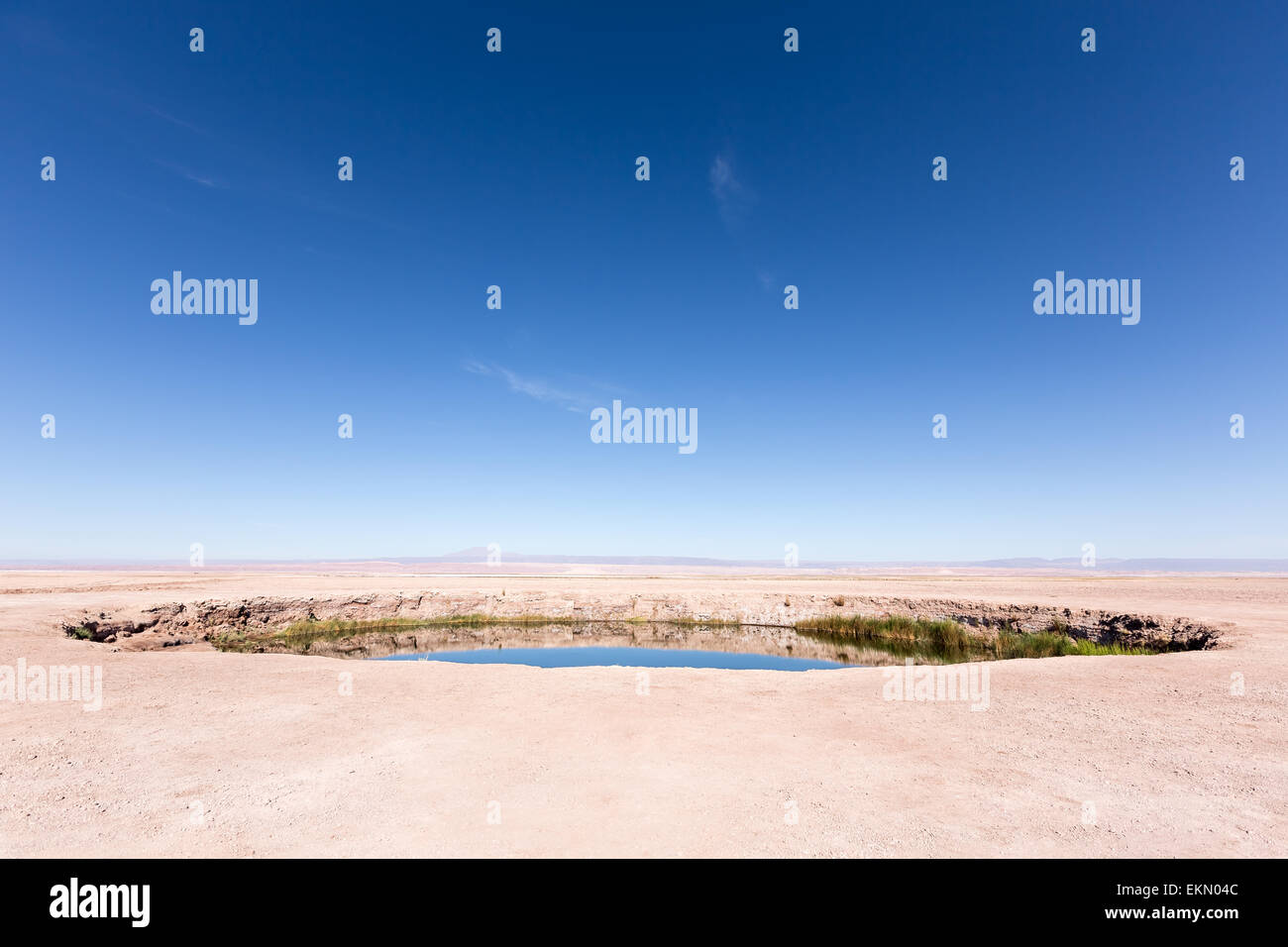 At Ojos del Salar, San Pedro de Atacama, Chile, Andes, South America Stock Photo