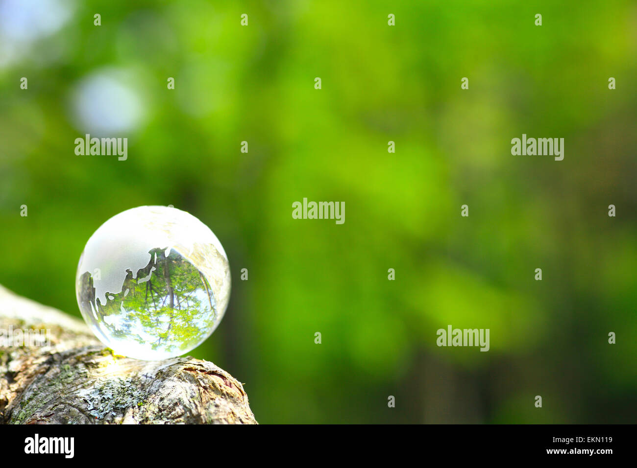 Glass globe in a forest Stock Photo Alamy