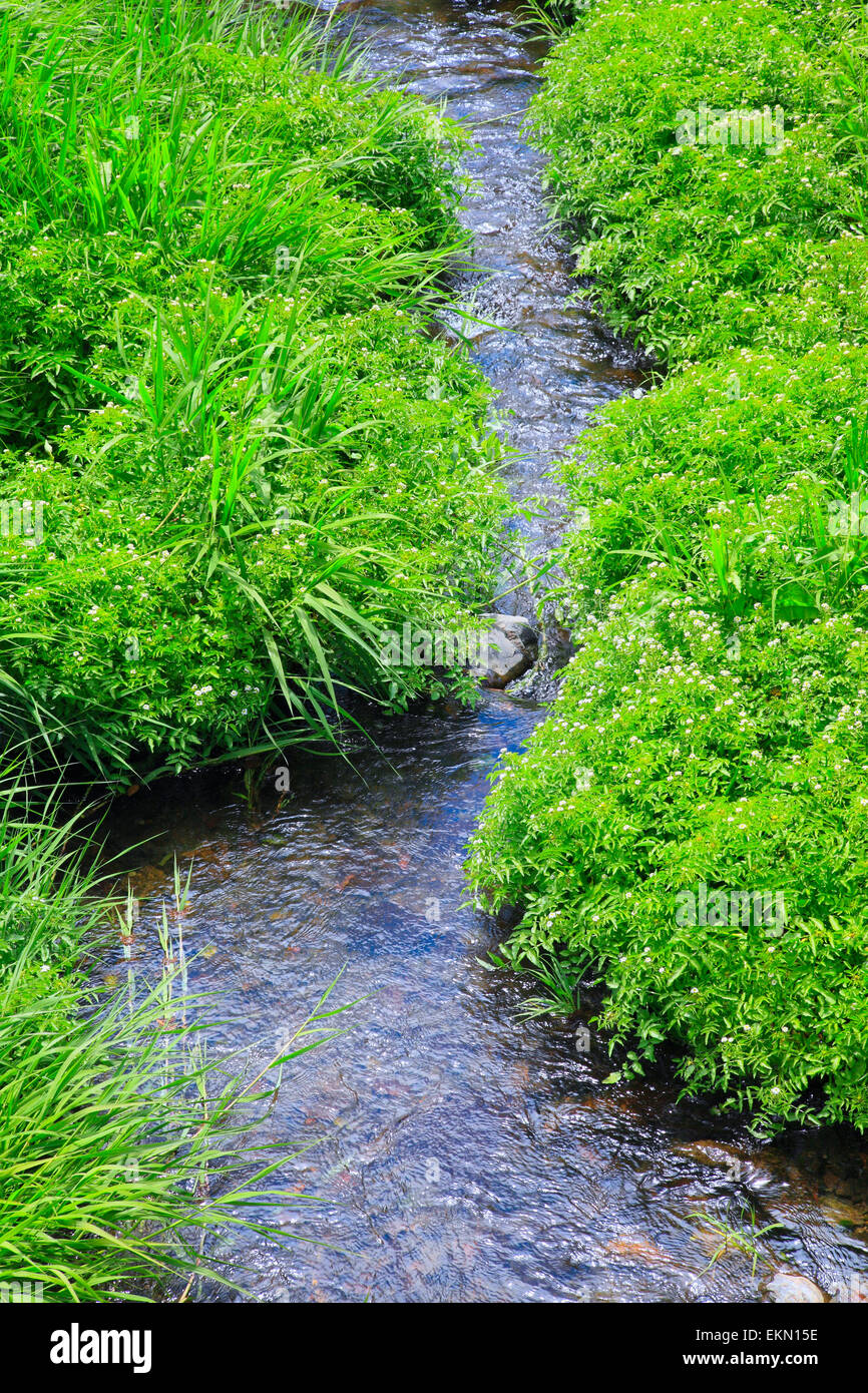 Shizuoka Prefecture, Japan Stock Photo Alamy