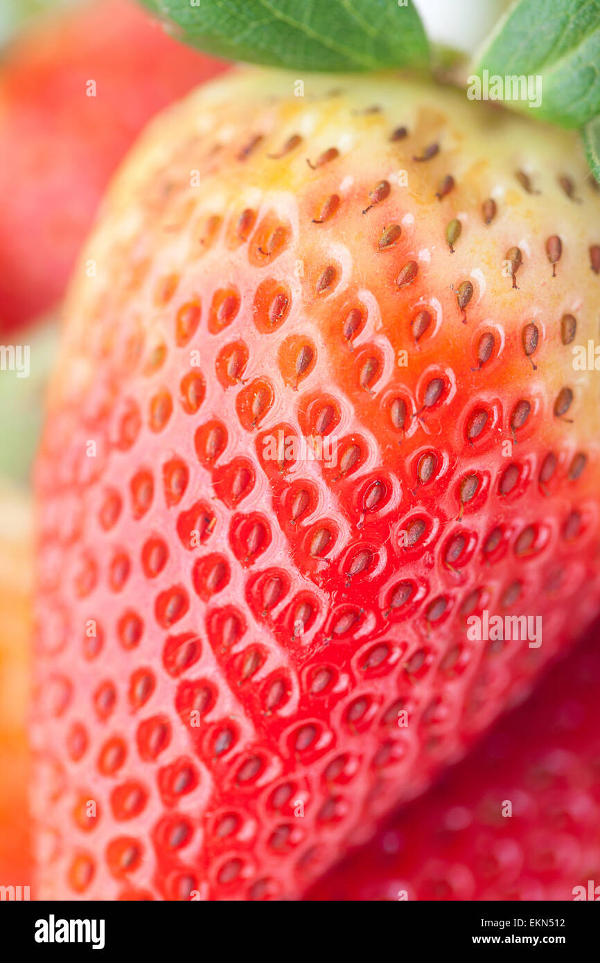 macro background of a big red strawberries Stock Photo - Alamy