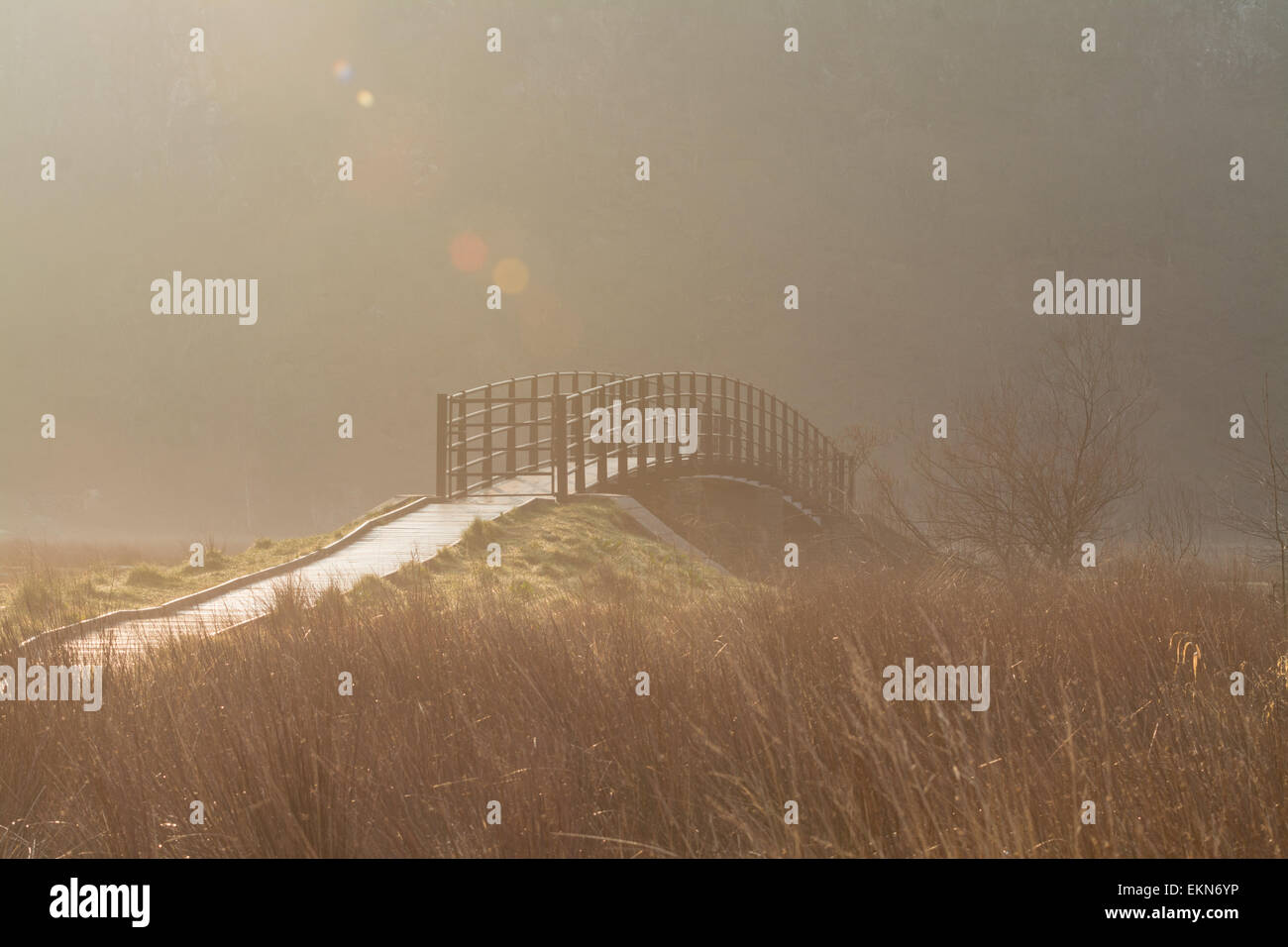 Chinese Bridge over the River Derwent, close to where it enters Derwentwater, Borrowdale, Lake District, England, UK at sunrise Stock Photo