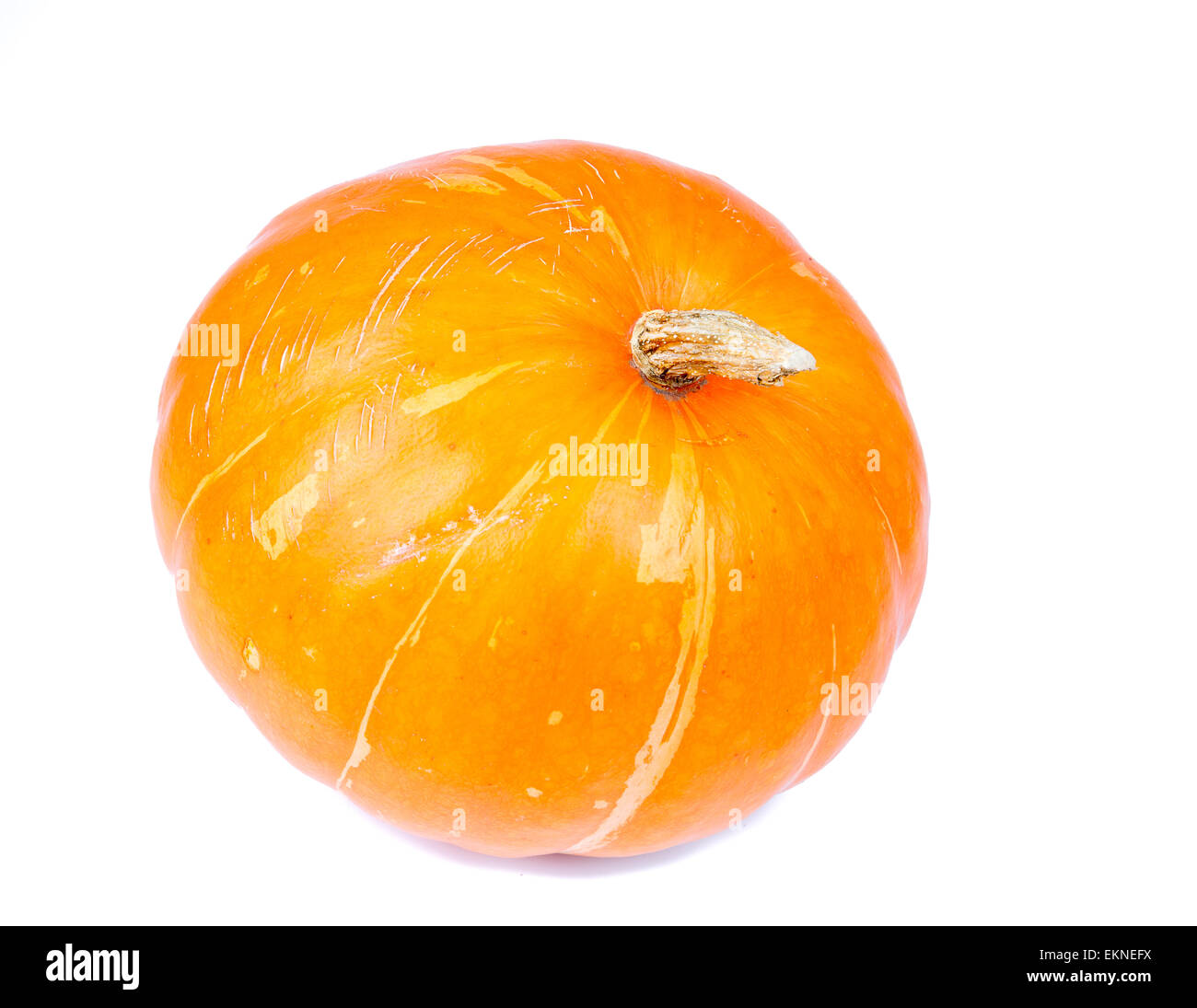 Big Yellow Pumpkin Isolated on white Stock Photo Alamy