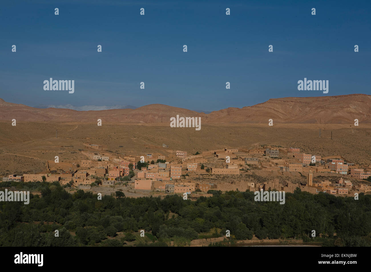 Village in the oasis of Tinghir at the edge of a field of palm or date trees Stock Photo