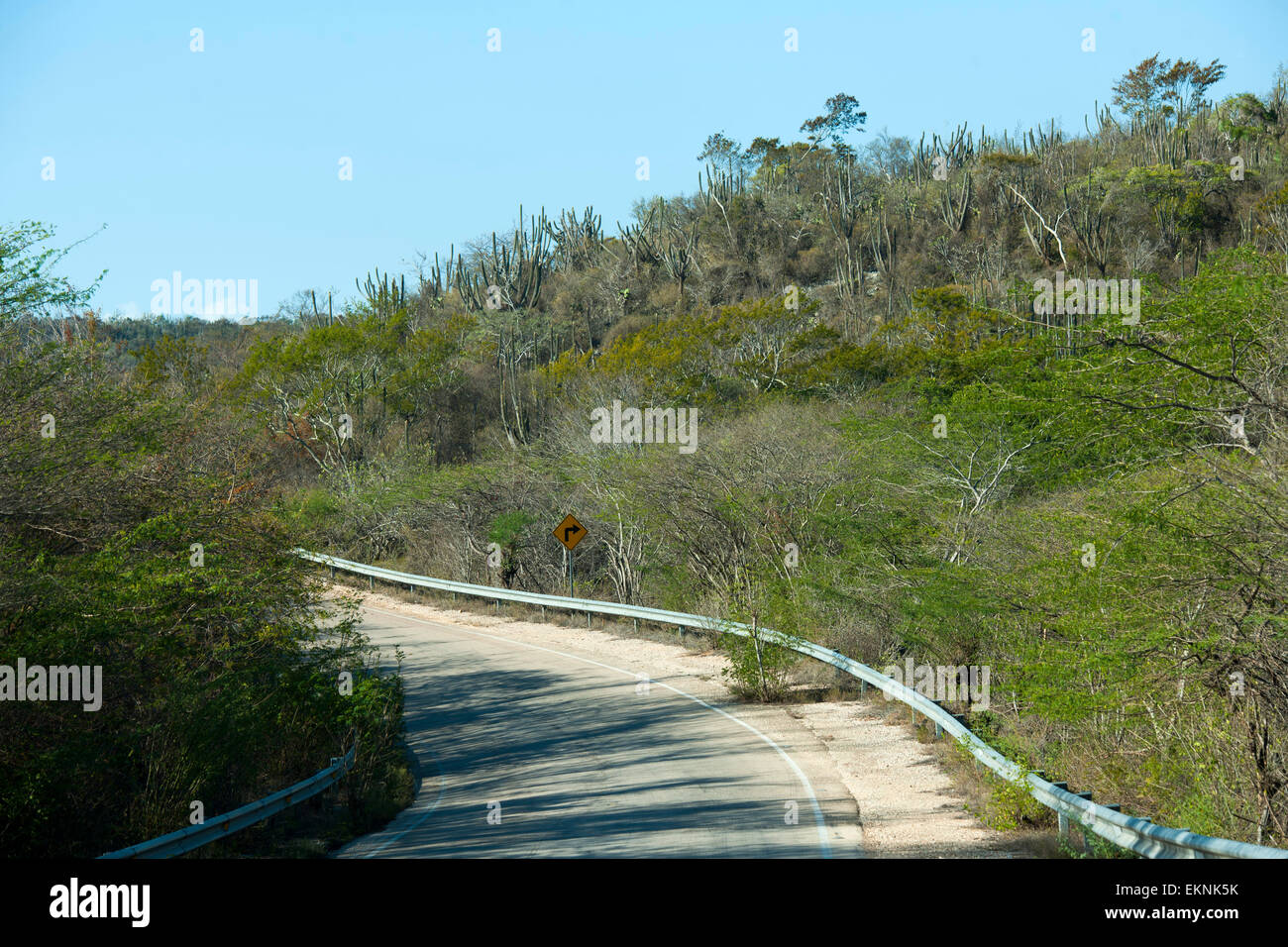 Dominikanische Republik, Südwesten, Halbinsel Baoruco, Strasse durch den Parque Nacional Jaragua Stock Photo