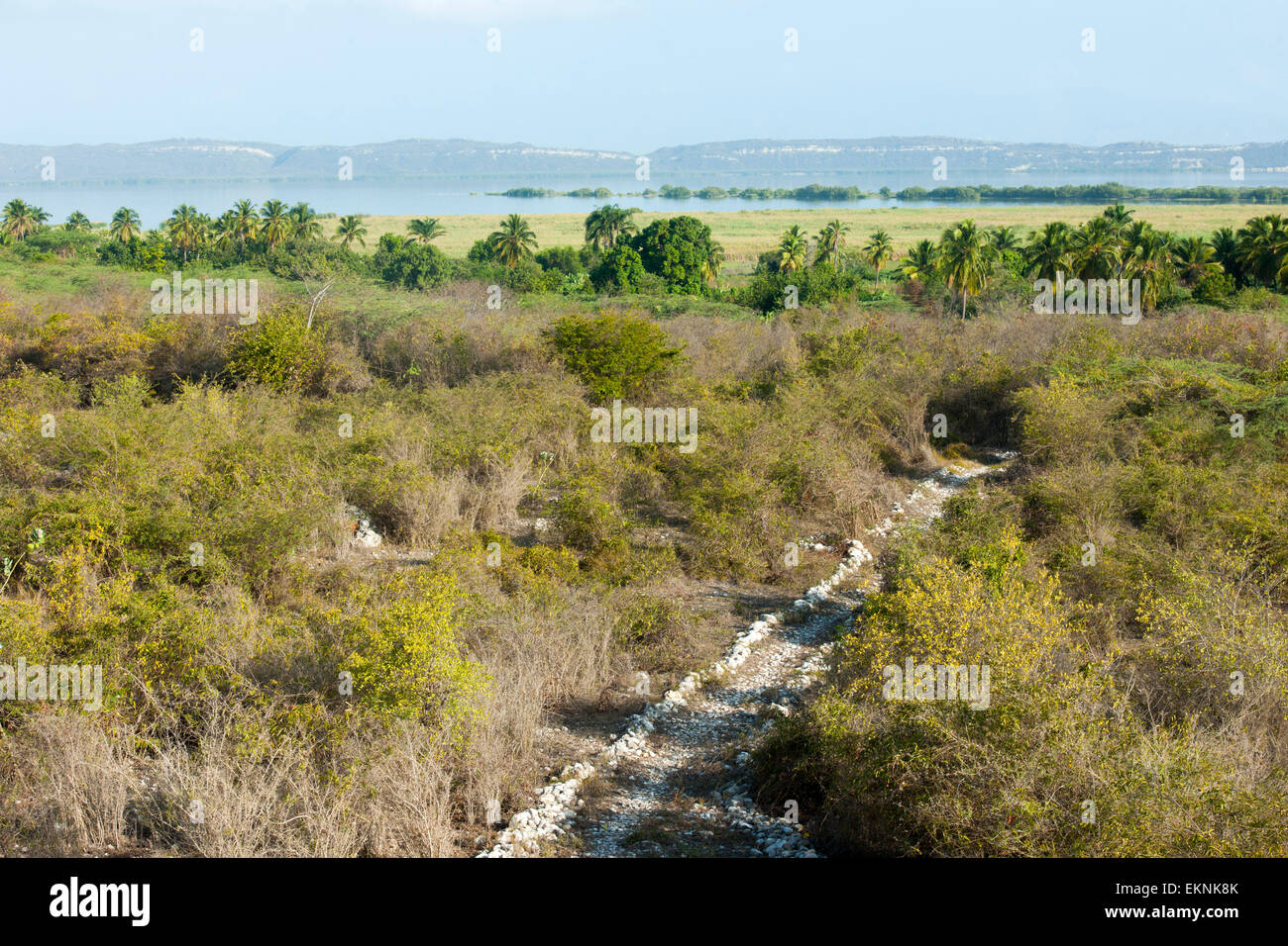Dominikanische Republik, Südwesten, Halbinsel Baoruco, Blick vom Auschtturm an der Laguna del Rincon (auch Laguna del Chabral) b Stock Photo