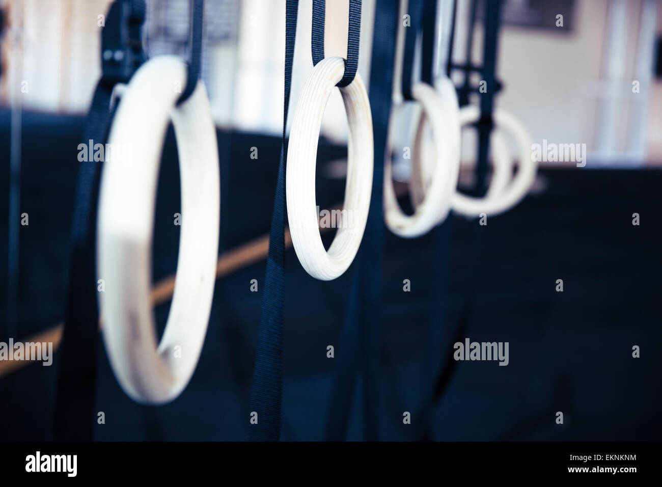 Gymnastic rings hanging at cross fitness gym Stock Photo Alamy