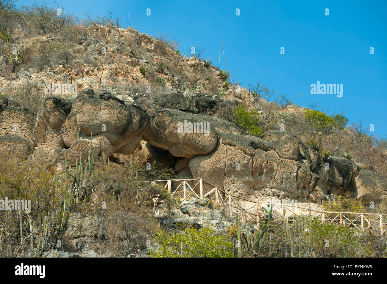 Caritas hi-res stock photography and images - Alamy