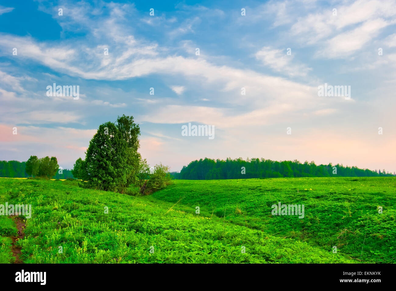 Green hilly hi-res stock photography and images - Alamy
