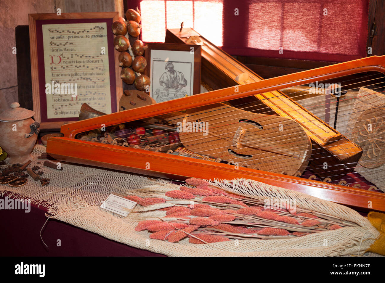 Ancient stringed instruments at Gorizia Castle Stock Photo Alamy