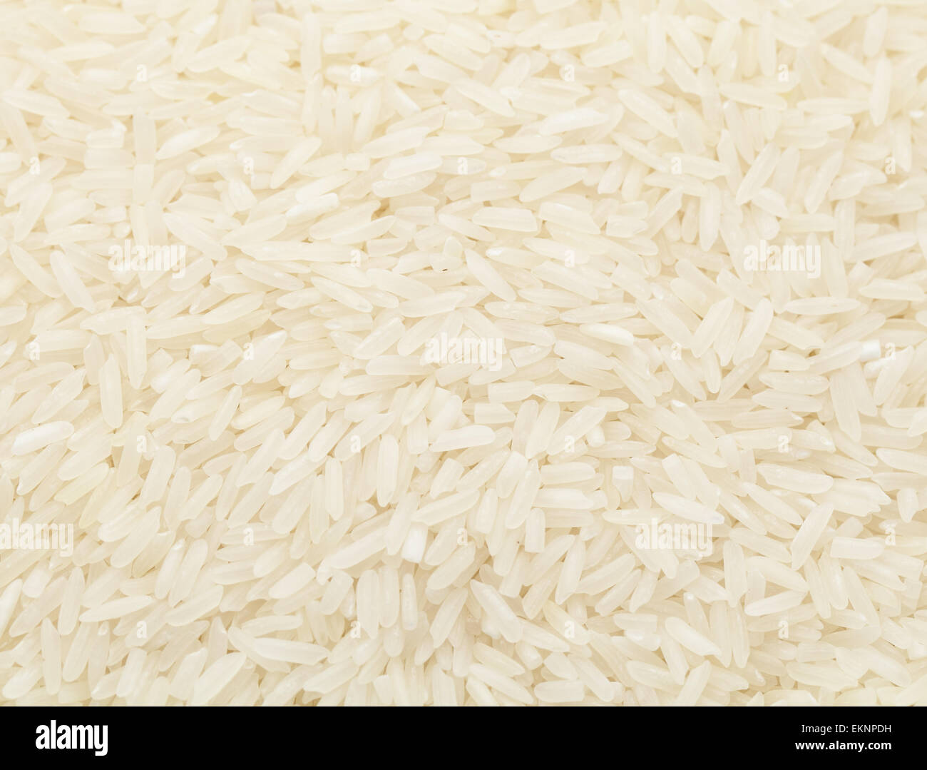 Uncooked white rice Stock Photo Alamy