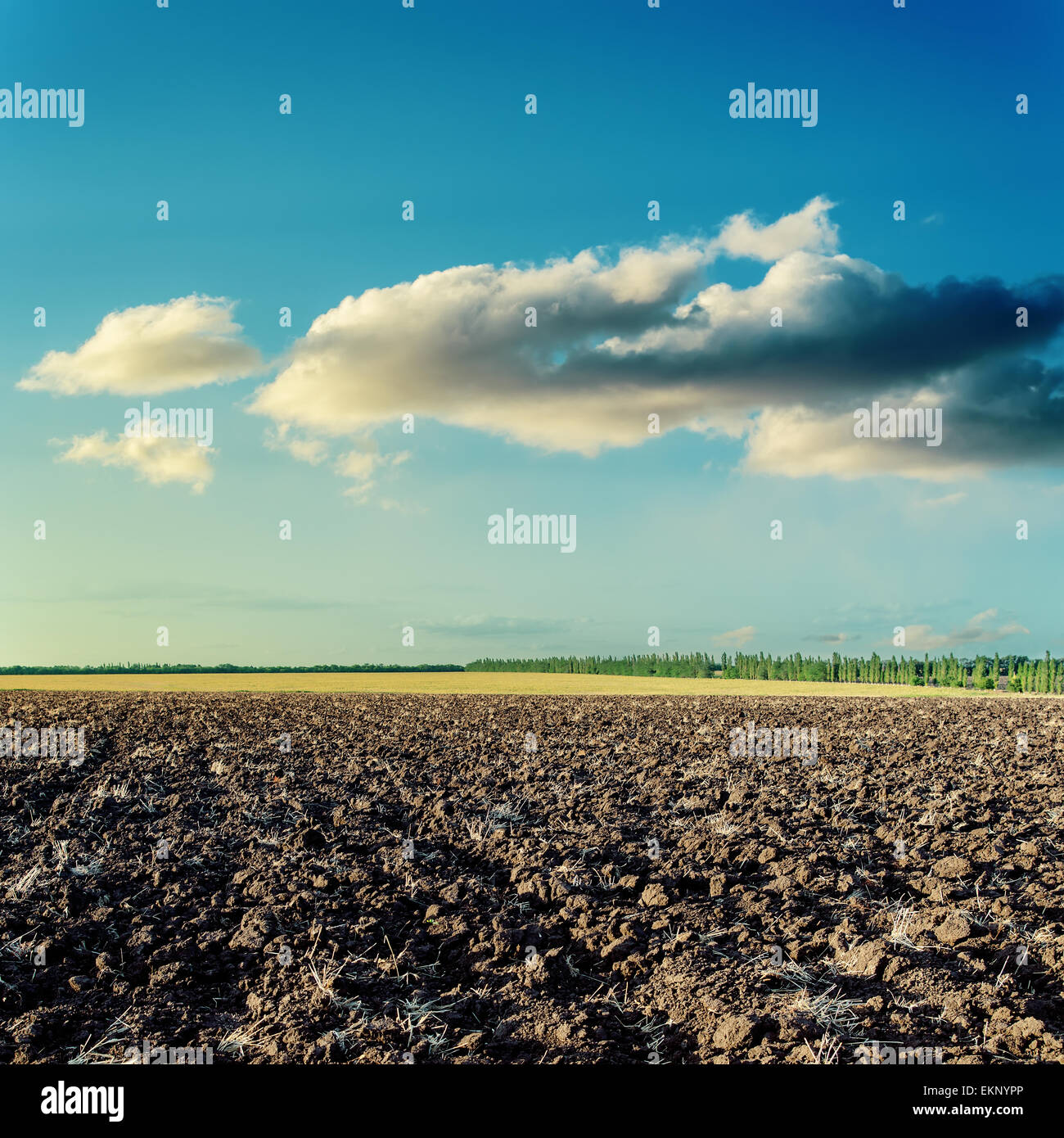 sunset over black field after harvesting Stock Photo - Alamy