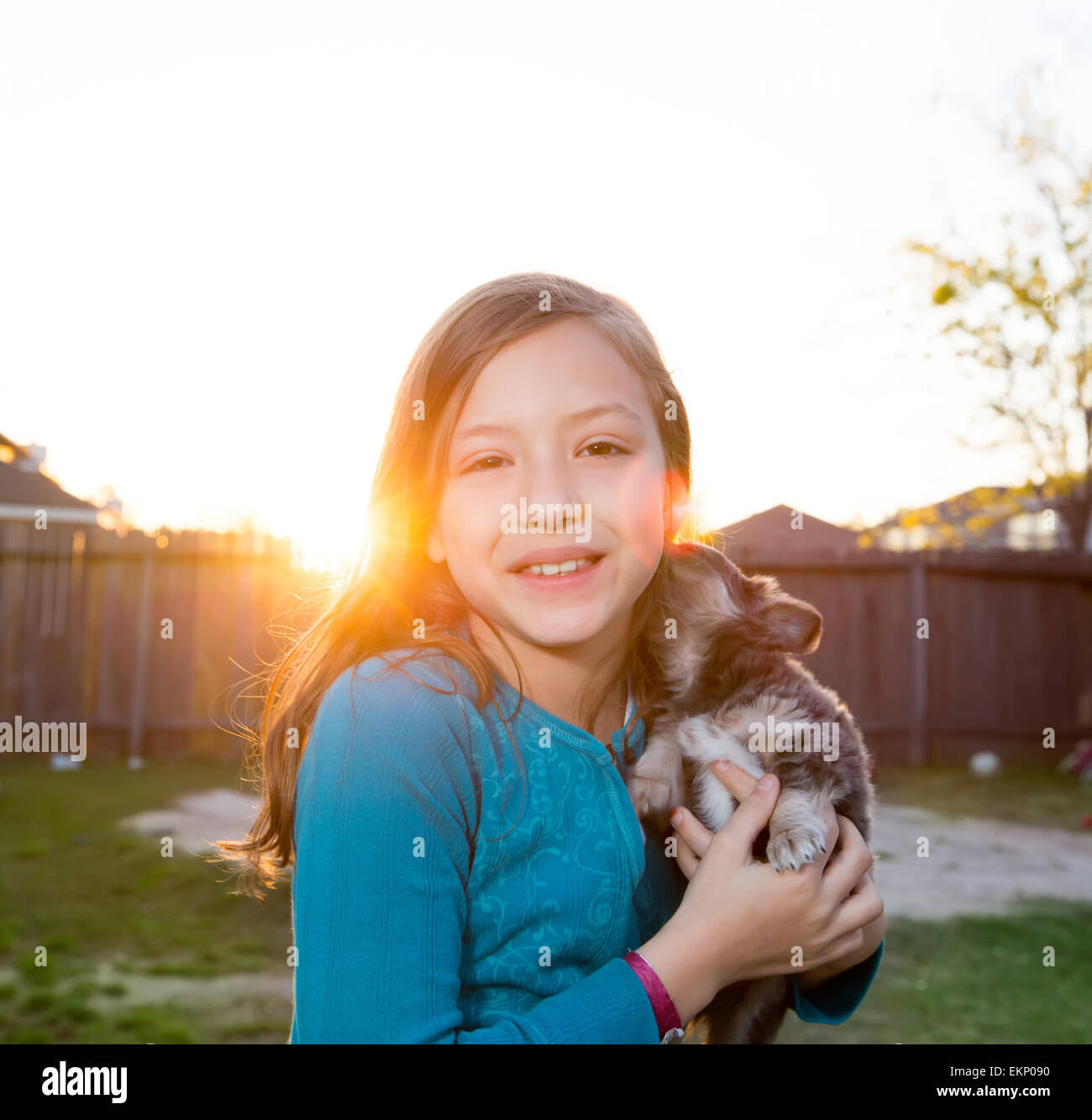 Children kid girl playing with puppy dog chihuahua Stock Photo - Alamy
