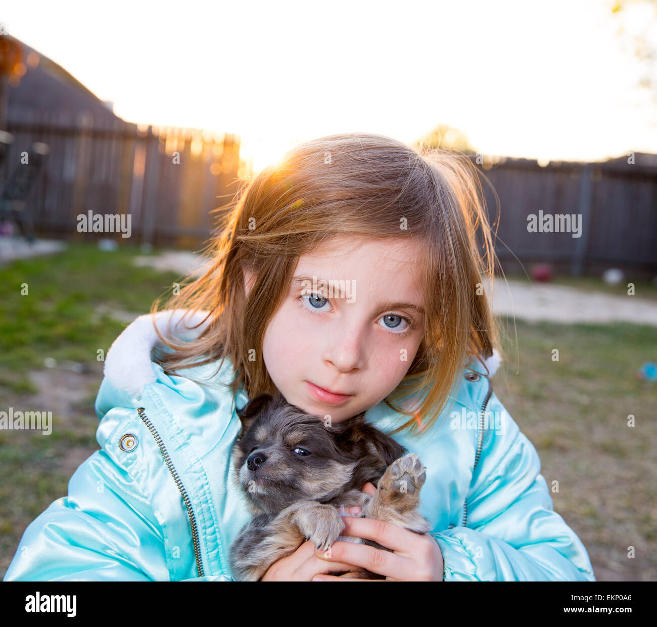 Blond children kid girl playing with puppy dog chihuahua Stock Photo ...