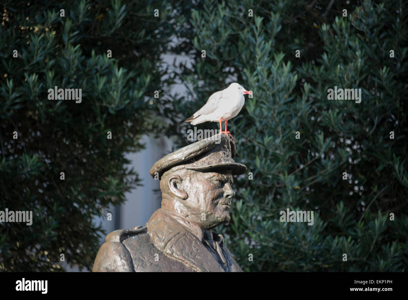 Lord Freyberg statue Auckland, north island, New Zealand. Stock Photo