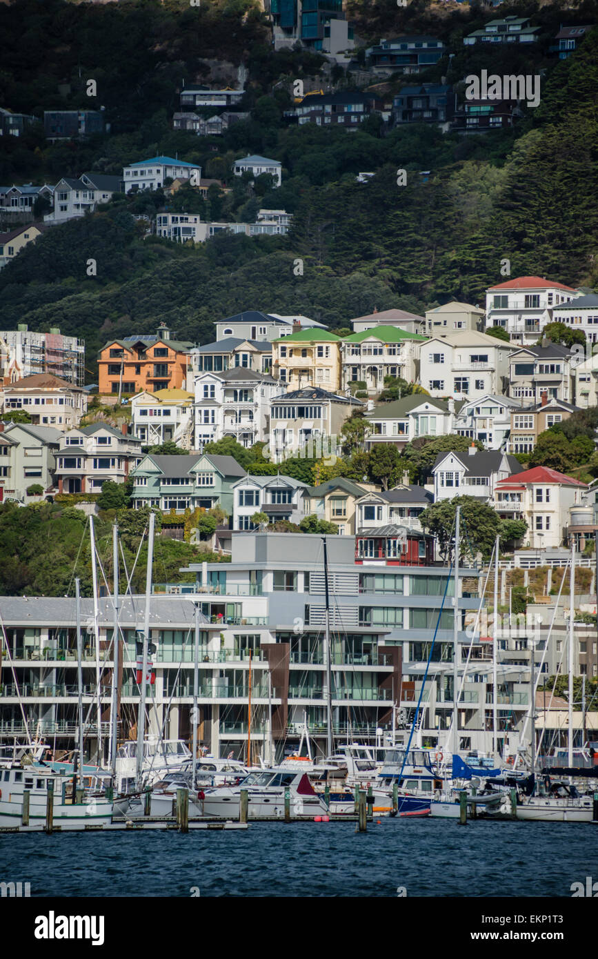 Oriental Bay Houses, Wellington, north island, New Zealand. Stock Photo