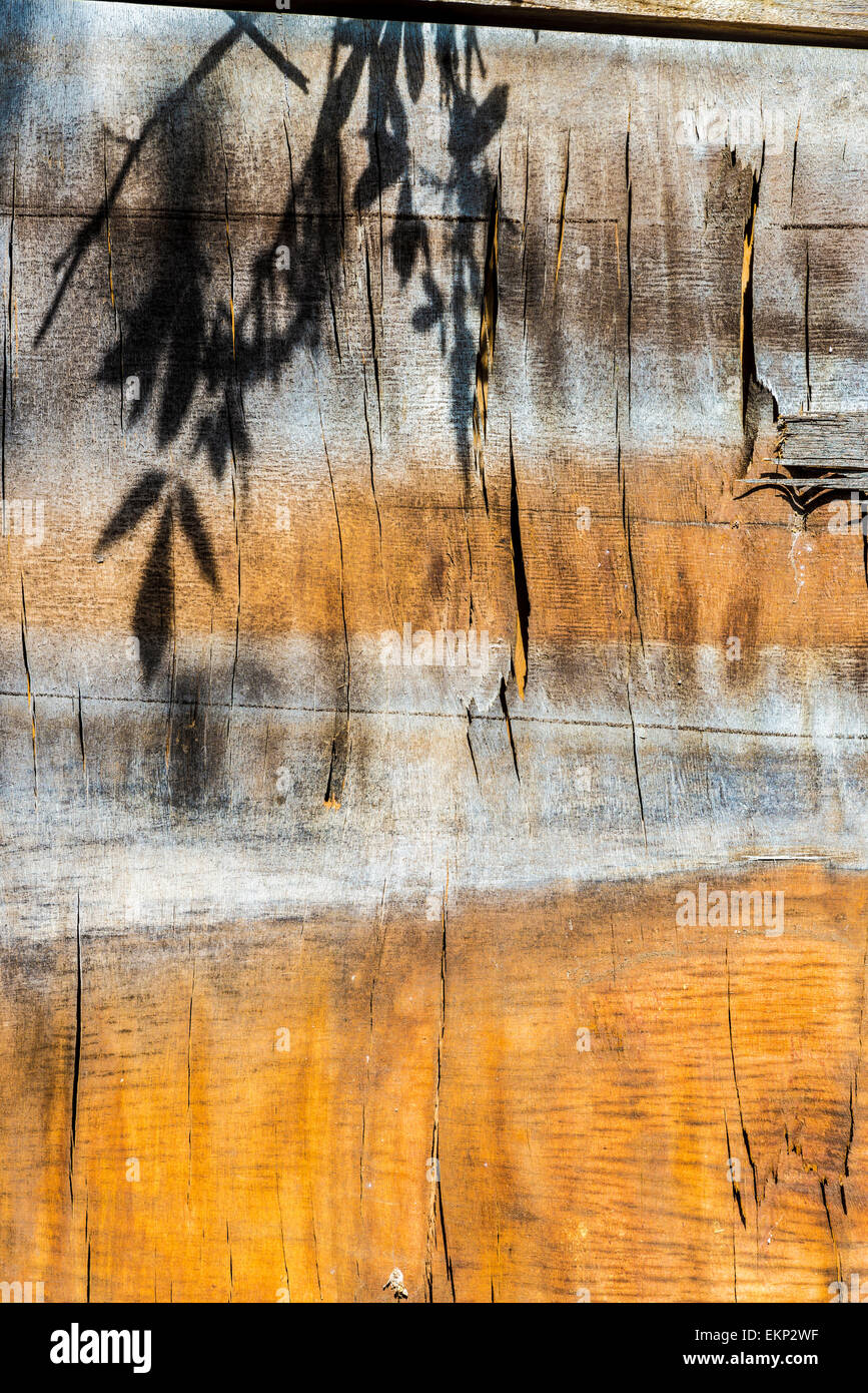 Shadow of leaves on an old wooden plank Stock Photo