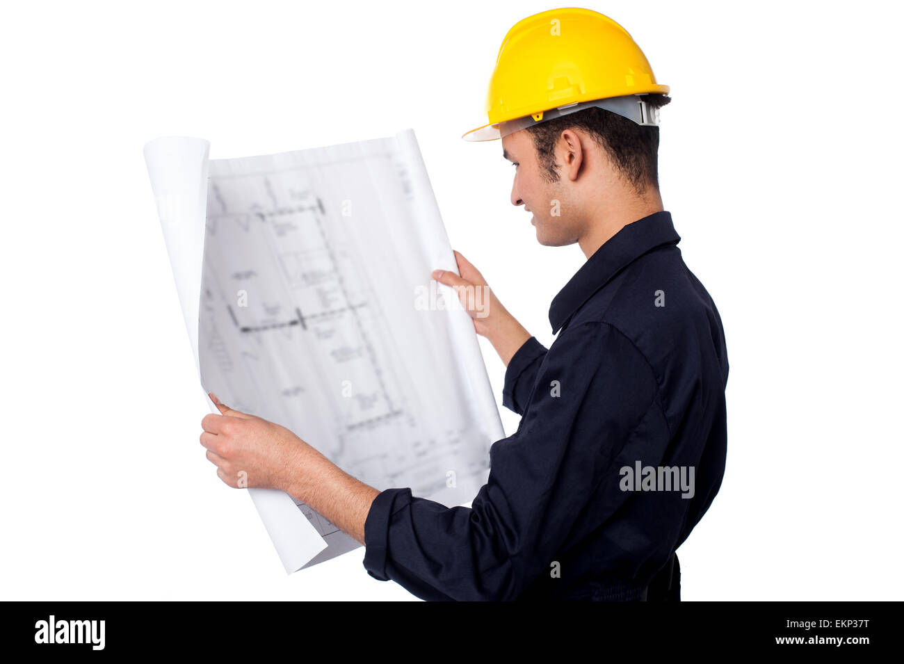 Construction worker reviewing plan Stock Photo Alamy