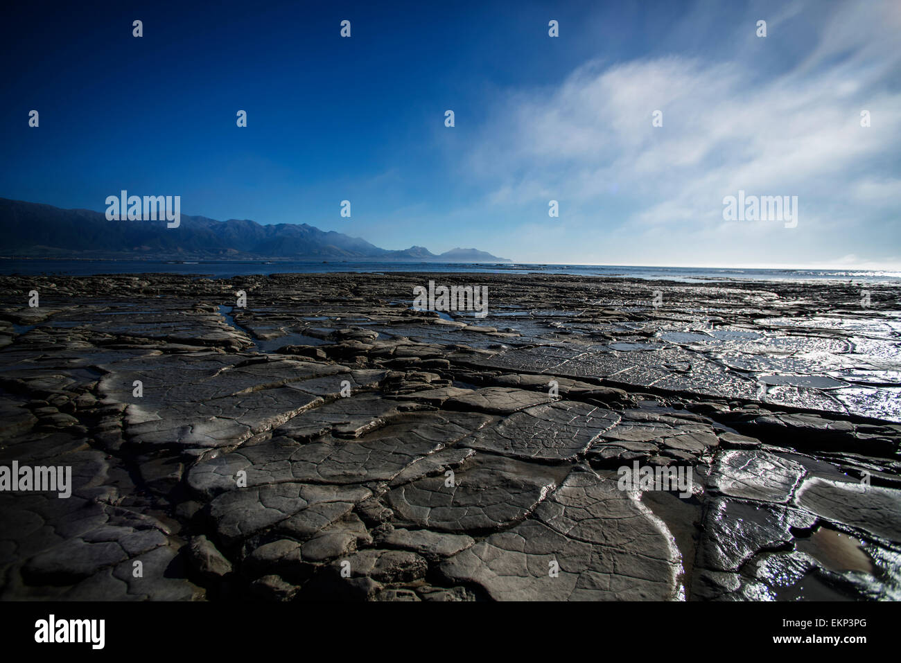 Petrified mud flats at Kaikoura, south island, New Zealand. Stock Photo