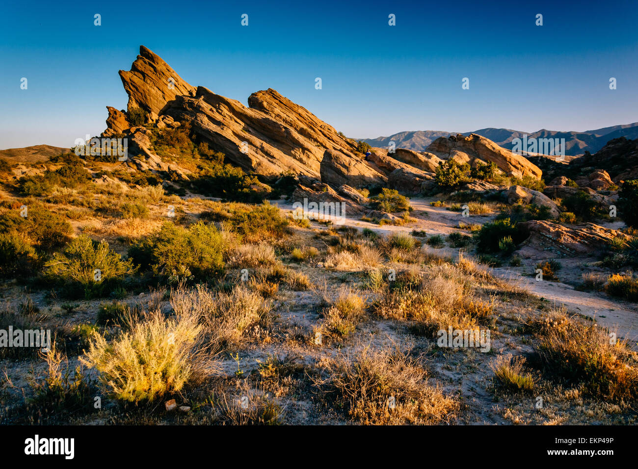 Plants and rocks at Vasquez Rocks County Park, in Agua Dulce, California. Stock Photo