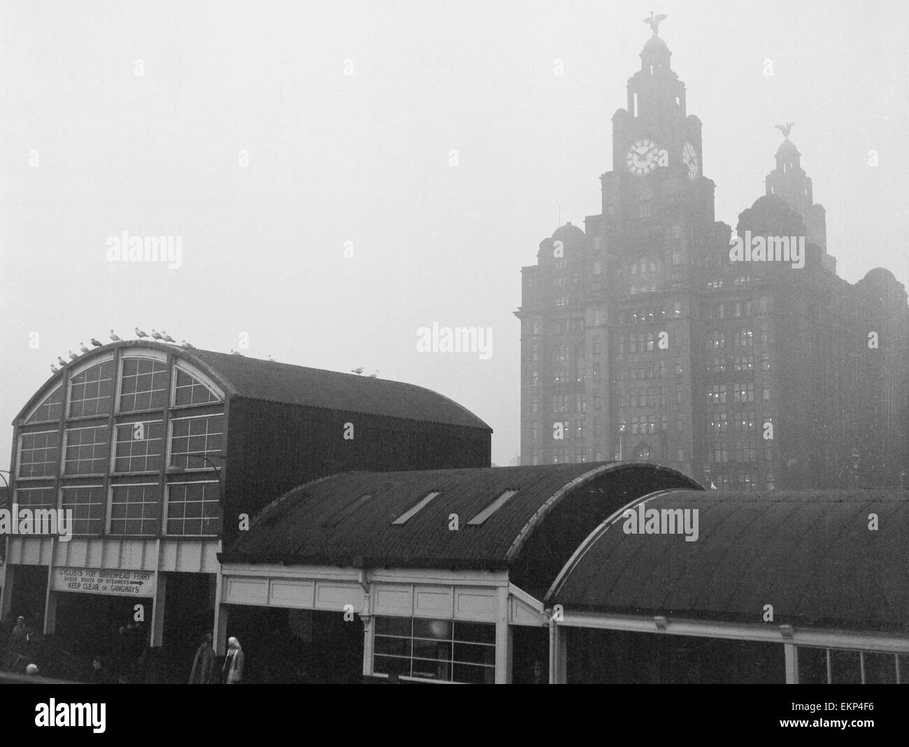 Unemployed and views of Liverpool, 30th November 1962. People waiting for a ferry at the docks with the Royal Liver Building behind. Stock Photo
