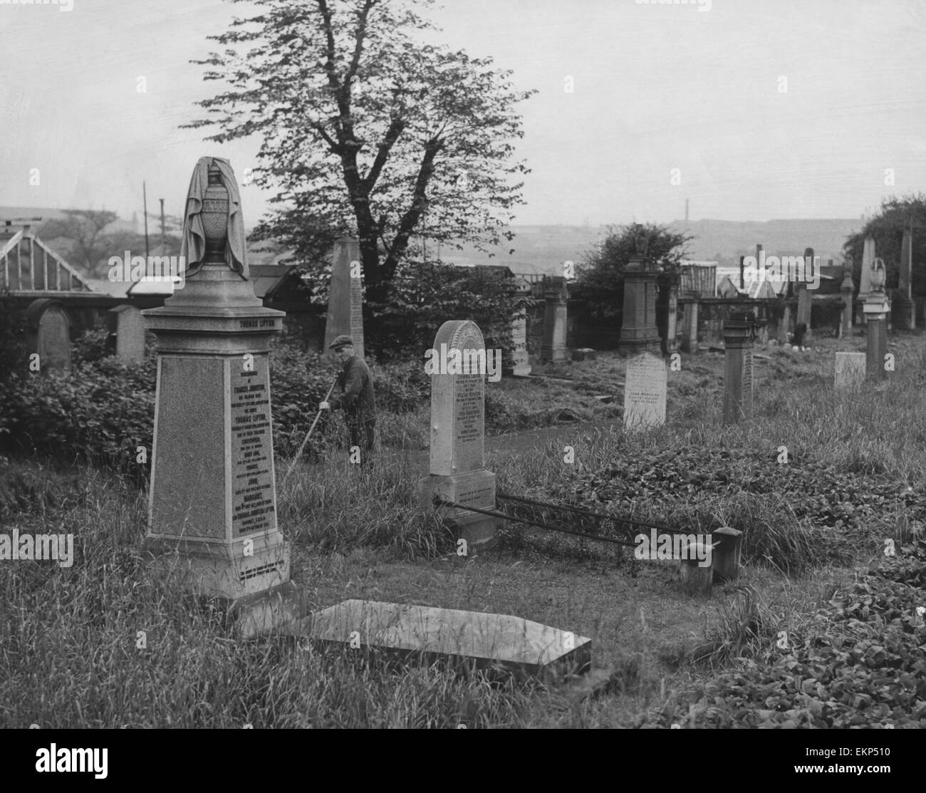 Southern Necropolis, Commercial Road, Glasgow 3rd January 1956. *** Local Caption *** Thomas Lipton Frances Johnston Euphemia Lawson William Hepburn John Murdoch Stock Photo