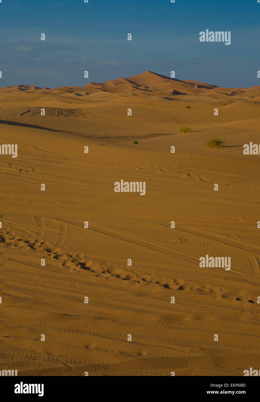 Erg Chebbi is one of Morocco's two Saharan ergs – large dunes formed by wind-blown sand –. The other is Erg Chigaga near M'hamid Stock Photo