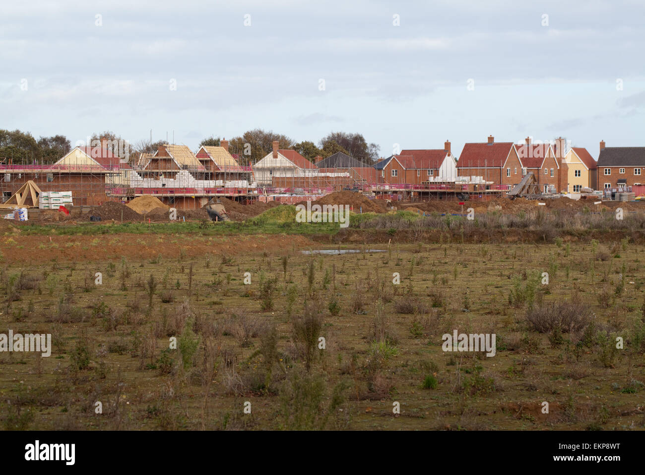 Stalham Green Norfolk at Bryan Barnes blog