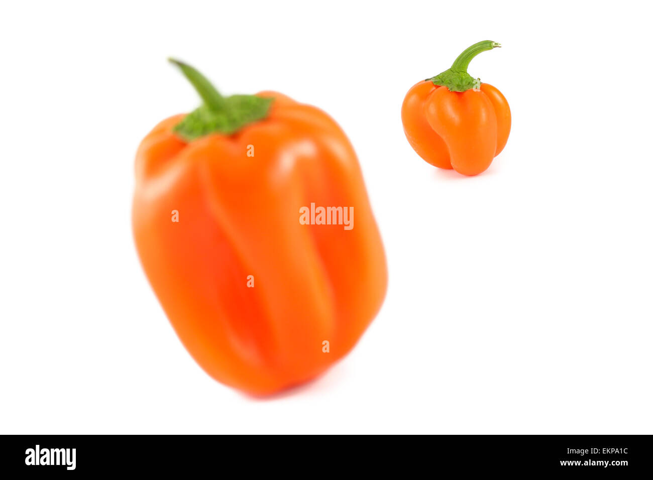 Orange Bell Peppers Stock Photo