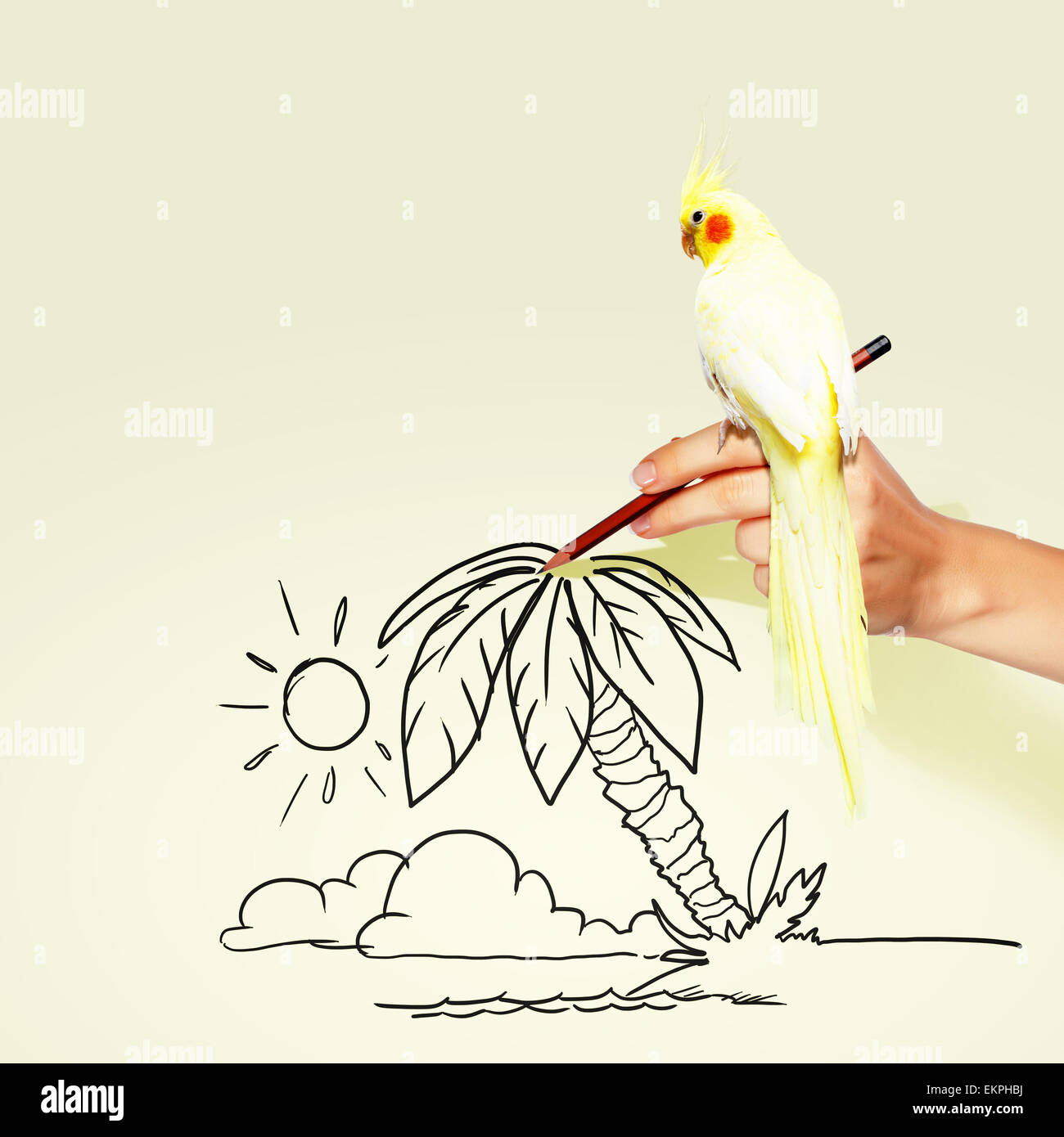 Parrot sitting on hand Stock Photo - Alamy